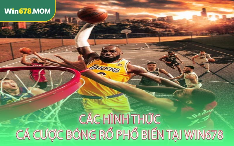 Các hình thức cá cược bóng rổ phổ biến tại WIN678