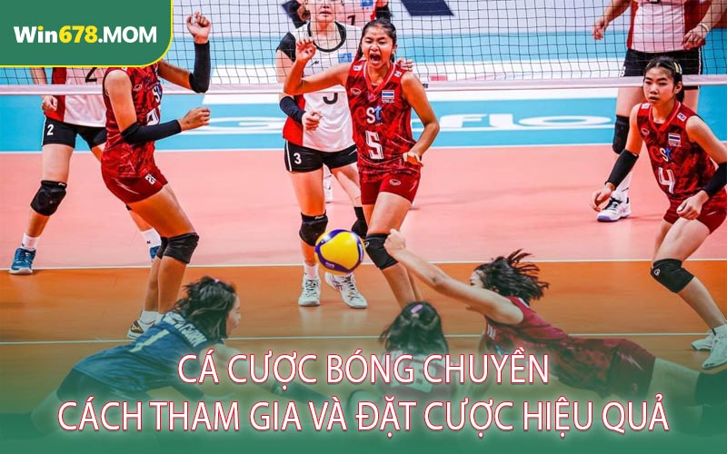 Cá Cược Bóng Chuyền Cách Tham Gia và Đặt Cược Hiệu Quả