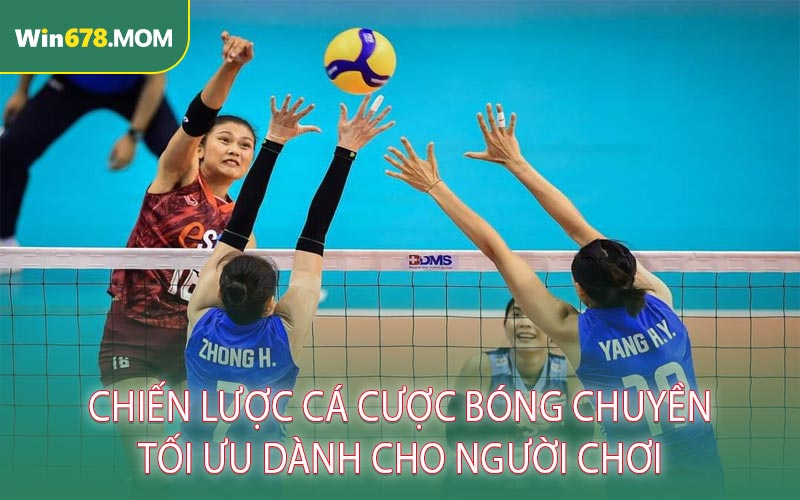 Chiến Lược Cá Cược Bóng Chuyền Tối Ưu Dành Cho Người Chơi