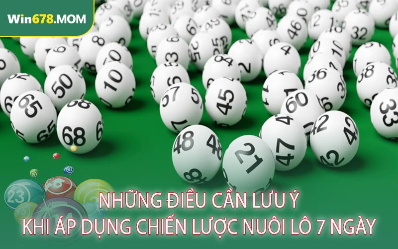 Những Điều Cần Lưu Ý Khi Áp Dụng Chiến Lược Nuôi Lô 7 Ngày