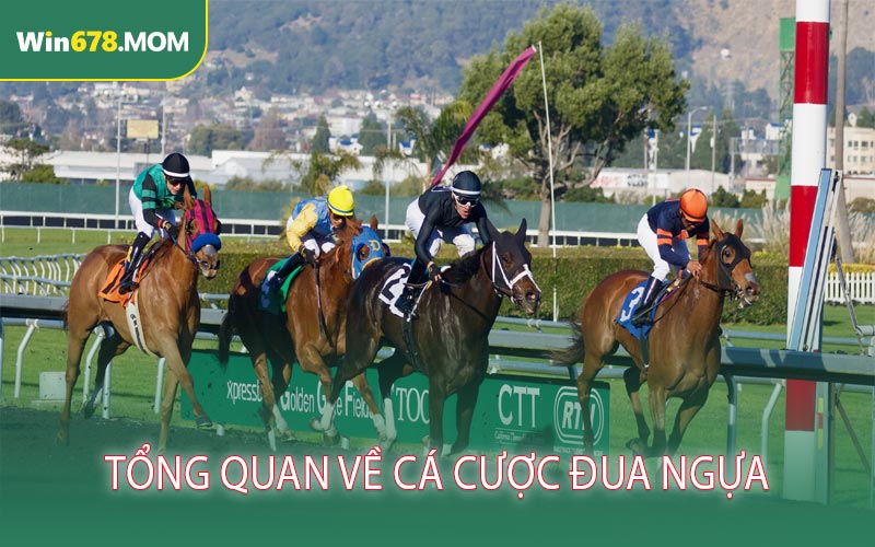 Tổng quan về cá cược đua ngựa